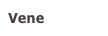Vene